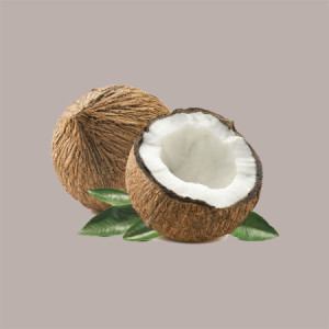 1,25 Kg Easy al Gusto di Cocco Preparato in Polvere per Gelato Leagel [8598b404]