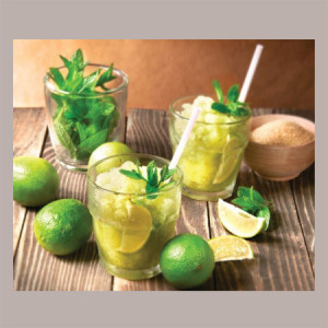 1,3 Kg Sciroppo Concentrato per Granita Gusto Mojito Menta Lime Mixybar Fabbri [44e661fa]