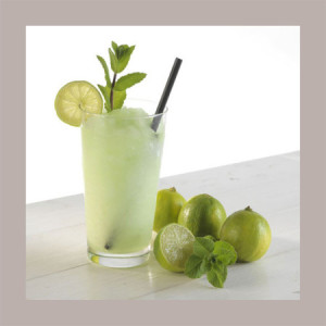 1,3 Kg Sciroppo Concentrato per Granita Gusto Mojito Menta Lime Mixybar Fabbri [f3fba0fe]