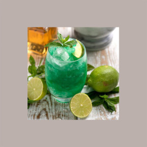 740 gr Sciroppo per Granita Gusto Zucchero Canna Easy Mojito Lime Menta Toschi [cfc6f094]