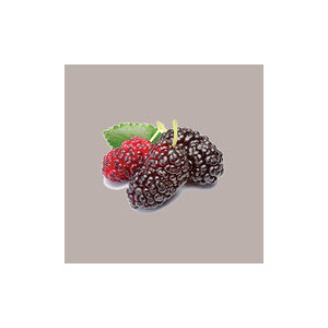 1,55 Kg Polpa di Frutta Gusto More Gelso ideale per Gelato Smothies Fruit Cub3 Leagel [020617d2]