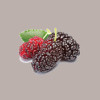 1,55 Kg Polpa di Frutta Gusto More Gelso ideale per Gelato Smothies Fruit Cub3 Leagel [020617d2]