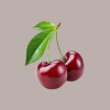 3,5 Kg Variegato Amarena con Pezzi Cherry Red ideale per Gelato Dolci Leagel [212b2989]