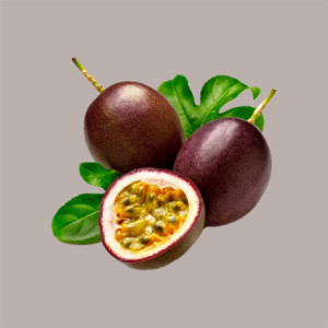 1,25 Kg Polpa Frutta Gusto Fruit Passion Maracuja Mixyfruit Cocktail FABBRI [f7140041]