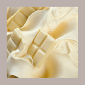 1,2 Kg Pasta Gusto Cioccolato Bianco ideale per Gelato Dolci Delipaste Fabbri