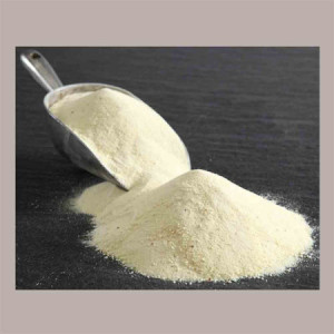 1 Kg Proteine Concentrate del Siero MAMOPROTEIN 80% per Gelato Senza Glutine