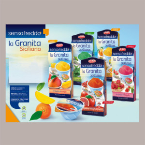 12 x 100 Ml Granita Siciliana Arancia Rossa Senso Freddo Pronta da Gelare Dolfin (6 astucci da 2)