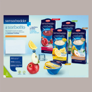 12 x 100 Ml Sorbetto Gusto Limone di Sicilia Senso Freddo Pronta da Gelare DOLFIN (6 astucci da 2)