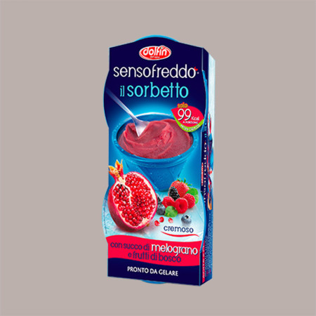 12 Pezzi da 100 Ml Sorbetto Melograno Frutti Bosco Senso Freddo Pronta da Gelare Dolfin (6 astucci da 2) [e06eb9c1]