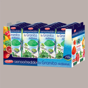 12 x 100 Ml Granita Siciliana al Gusto Menta Senso Freddo Pronta da Gelare Dolfin (6 astucci da 2)