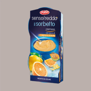 12 x 100 Ml Sorbetto Gusto Agrumi di Sicilia Senso Freddo Pronta da Gelare DOLFIN (6 astucci da 2) [f943e8f3]