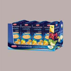 12 x 100 Ml Sorbetto Gusto Agrumi di Sicilia Senso Freddo Pronta da Gelare DOLFIN (6 astucci da 2) [fc13afed]