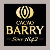 3 Kg Massa di Cacao Pura 100% in Pistoles Grand Caraque Barry [cc787c30]