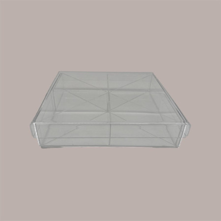 Contenitore in Plexiglass Trasparente con Coperchio a 8 Scomparti per Piccoli Alimenti 20x20 cm [25ca55f3]