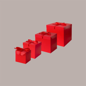 10 Pz Scatola Automontante in Carta Rossa con Nastro Raso per Confezioni Regalo 10x10x10cm