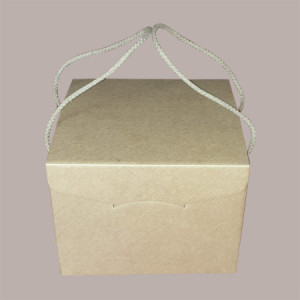 5 Pz Scatola per Confezioni Regalo Porta Panettone Basso da 1 Kg in Cartoncino Avana Segreto con Cordini 245x245H180mm