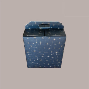 10 Pz Scatola per Confezione Regalo Natale Porta Panettone Bottiglia Valigetta Media Cartoncino Nero Grafica Stelle Oro 330x250H350mm