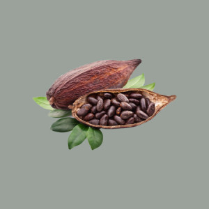 1 Kg Cacao Amaro Intenso in Polvere 100% Rouge Ultime Cameroun 20/22% Universelle Barry