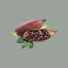 1 Kg Cacao Amaro Intenso in Polvere 100% Rouge Ultime Cameroun 20/22% Universelle Barry [5d980f79]