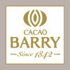 1 Kg Cacao Amaro Intenso in Polvere 100% Rouge Ultime Cameroun 20/22% Universelle Barry [81ee0b6a]