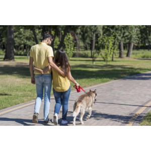 100 Pz Biopaletta Busta per Deiezioni Canine Ideale per Passeggiate con il vostro cane 20x14 cm [9ae03598]